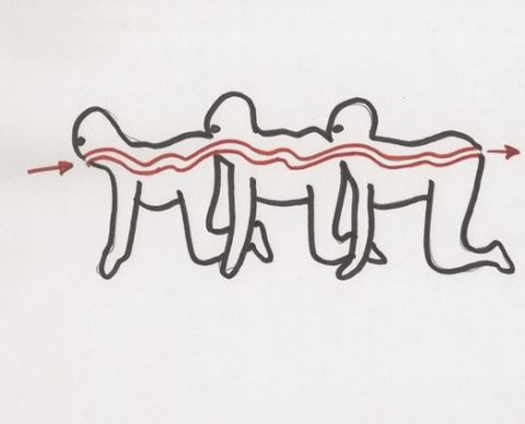 『ムカデ人間』(2009) - The Human Centipede (First Sequence) –