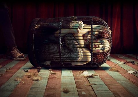 「アメリカン・ホラー・ストーリー:怪奇劇場」(TV/2014~2015) - American Horror Story: Freakshow (Season 4)