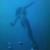 Thumbnail of post image 055