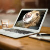 Thumbnail of post image 084