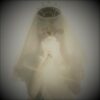 Thumbnail of post image 065